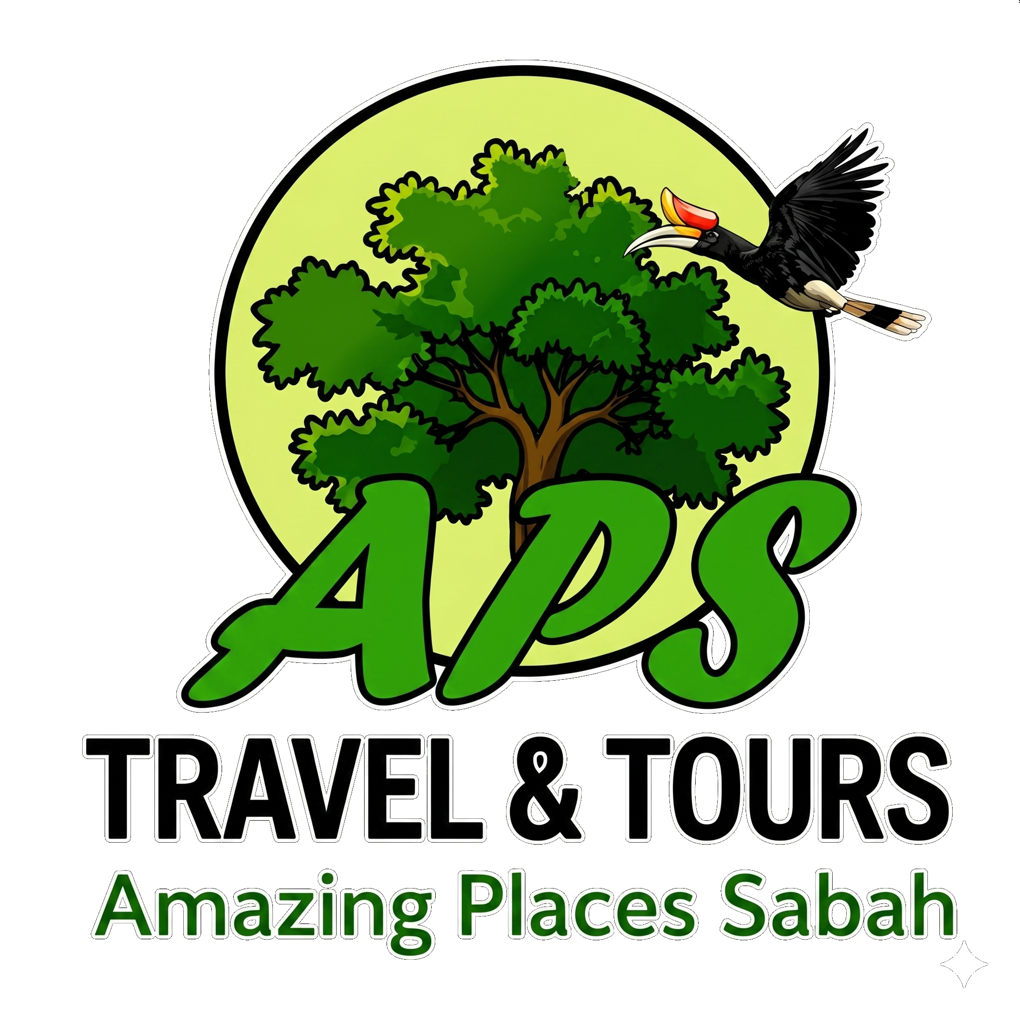 APS Travel & Tours